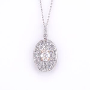 Jewel / Diamond Necklace